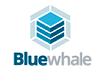 Blue Whale Pools